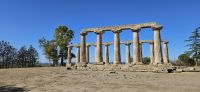 Metaponto,  Hera Tempel  &ndash; &copy; Ria Heilmann (Eberhardt TRAVEL)