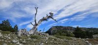 Wanderung im Pollino Gebirge  &ndash; &copy; Ria Heilmann (Eberhardt TRAVEL)