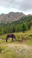 Les Calanches &ndash; &copy; Allina Anderer (Eberhardt TRAVEL)