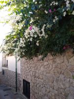 Capri  &ndash; &copy; Olga Romano (Eberhardt TRAVEL)