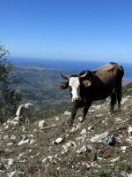 &copy; Patrick Fritzsche (Eberhardt TRAVEL)