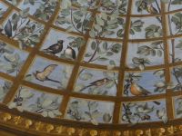 Florenz, Uffizien, wie natürlich die Pergola den Galeriegang überwölbt.  &ndash; &copy; Vivian Kreft (Eberhardt TRAVEL)