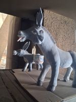 Esel aus Vietri &ndash; &copy; Anette Rietz (Eberhardt TRAVEL)