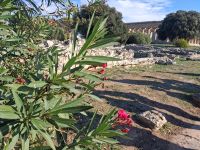 Paestum &ndash; &copy; Anette Rietz (Eberhardt TRAVEL)