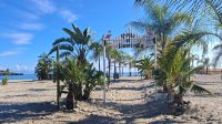 Strand Marina di Camerota &ndash; &copy; Anette Rietz (Eberhardt TRAVEL)