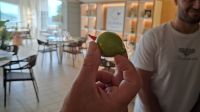 Glücksbringer Cilento Feige und 