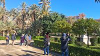 Palmengarten Palermo &ndash; &copy; Anette Rietz (Eberhardt TRAVEL)
