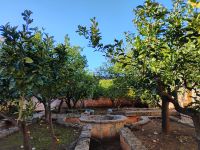 Orangengarten  &ndash; &copy; Monika Cortese (Eberhardt TRAVEL)