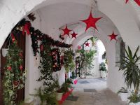Cisternino 