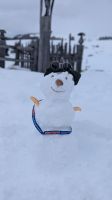 Eberhardt Schneemann &ndash; &copy; Natalie Hady (Eberhardt TRAVEL)