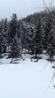 Naturerlebnisweg Zans &ndash; &copy; Natalie Hady (Eberhardt TRAVEL)