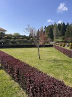 Villa Vittoria  &ndash; &copy; Daniela Paulan (Eberhardt TRAVEL)