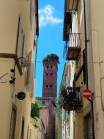 Spaziergang durch Lucca  &ndash; &copy; Monika Cortese (Eberhardt TRAVEL)