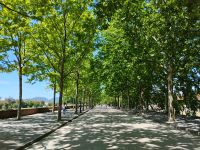 Spaziergang auf der Stadtmauer, Lucca  &ndash; &copy; Monika Cortese (Eberhardt TRAVEL)