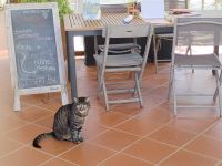 Besuch im Weingut &ndash; &copy; Monika Cortese (Eberhardt TRAVEL)