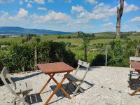 Impressionen am Weingut 