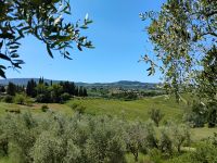 Blick vom Safranhof  &ndash; &copy; Monika Cortese (Eberhardt TRAVEL)