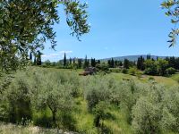 Blick auf San Gimignano vom Safranhof  &ndash; &copy; Monika Cortese (Eberhardt TRAVEL)