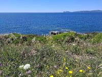 Fahrt entlang der Westküste von Alghero nach Bosa... &ndash; &copy; Katrin Deutschbein (Eberhardt TRAVEL)