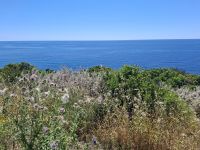 Fahrt entlang der Westküste von Alghero nach Bosa... (Macchia mediterranea) &ndash; &copy; Katrin Deutschbein (Eberhardt TRAVEL)