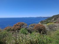 Fahrt entlang der Westküste von Alghero nach Bosa... (Macchia mediterranea) &ndash; &copy; Katrin Deutschbein (Eberhardt TRAVEL)
