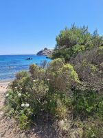 Insel La Maddalena (Spalmatore-Strand) &ndash; &copy; Katrin Deutschbein (Eberhardt TRAVEL)