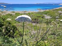 Insel La Maddalena (Bassa Trinita-Strand) &ndash; &copy; Katrin Deutschbein (Eberhardt TRAVEL)