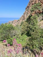 Calanche