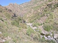 Schlucht des Golo-Flusses 