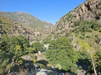 Schlucht des Golo-Flusses 