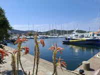 Cap Corse (Ostküste - Macinaggio) &ndash; &copy; Katrin Deutschbein (Eberhardt TRAVEL)