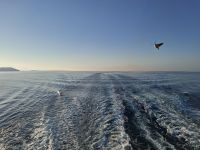Morgenstimmung an Bord der 