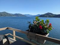 PXL_20260605_062751535.jpg  Schöner Lago Maggiore