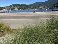 PXL_20260605_085552111.jpg   Blick zum Comersee...
