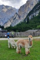 Scotoni Hütte &ndash; &copy; Betina Marinov (Eberhardt TRAVEL)