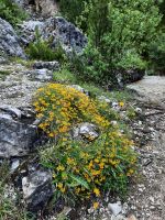 Impressionen &ndash; &copy; Betina Marinov (Eberhardt TRAVEL)
