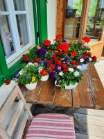 Gardenacia Hütte &ndash; &copy; Betina Marinov (Eberhardt TRAVEL)
