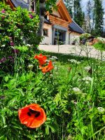 Naturpark Puez - Geisler &ndash; &copy; Betina Marinov (Eberhardt TRAVEL)
