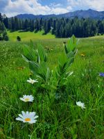 Impressionen &ndash; &copy; Betina Marinov (Eberhardt TRAVEL)