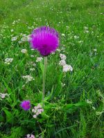 Impressionen &ndash; &copy; Betina Marinov (Eberhardt TRAVEL)