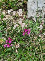 Impressionen