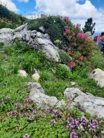 Wanderung rund um den Langkofel  &ndash; &copy; Betina Marinov (Eberhardt TRAVEL)