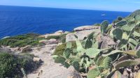 Capo Sandalo &ndash; &copy; Anette Rietz (Eberhardt TRAVEL)