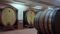 historische Weinfässer bei Sella & Mosca &ndash; &copy; Anette Rietz (Eberhardt TRAVEL)