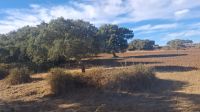Ausblick beim Trenino Verde &ndash; &copy; Anette Rietz (Eberhardt TRAVEL)