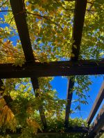 Botanischer Garten Villa Vittoria &ndash; &copy; Alyssa Zucchini (Eberhardt TRAVEL)