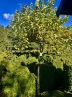 Botanischer Garten Villa Vittoria &ndash; &copy; Alyssa Zucchini (Eberhardt TRAVEL)