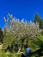Botanischer Garten Villa Vittoria &ndash; &copy; Alyssa Zucchini (Eberhardt TRAVEL)