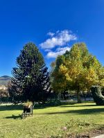 Botanischer Garten Villa Vittoria &ndash; &copy; Alyssa Zucchini (Eberhardt TRAVEL)