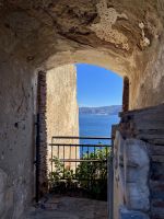 Scilla  &ndash; &copy; Alyssa Zucchini (Eberhardt TRAVEL)